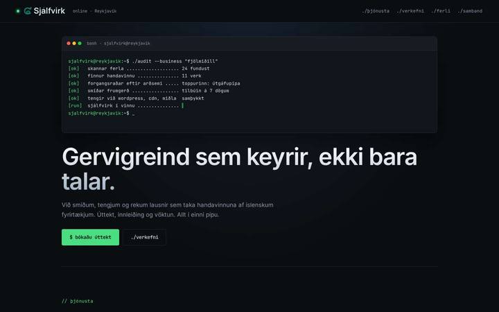 Forsíða útgáfu 3